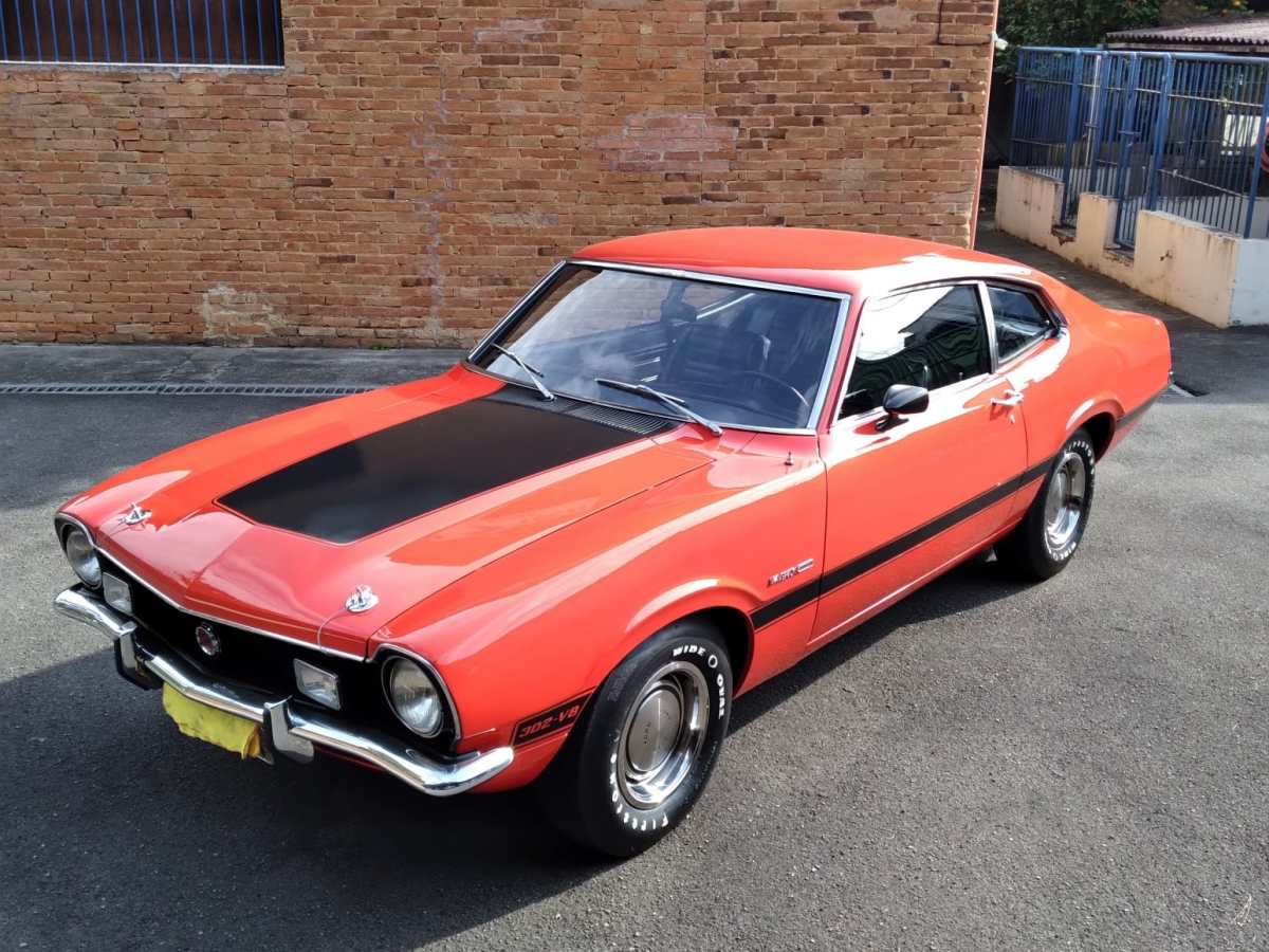 Brazilian Maverick